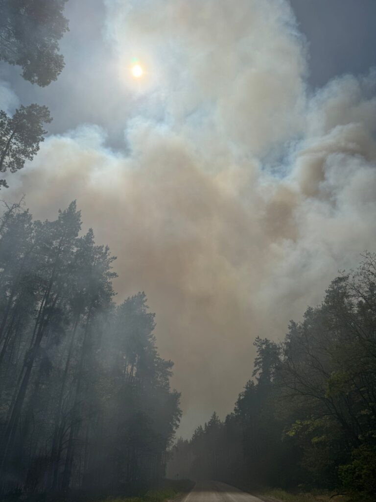 Boschi intorno a Kharkiv in fiamme, maggio 2024, ph Sabato Angieri